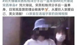 刘大锤最新爆料宋茜视频,精彩瞬间引网友热议